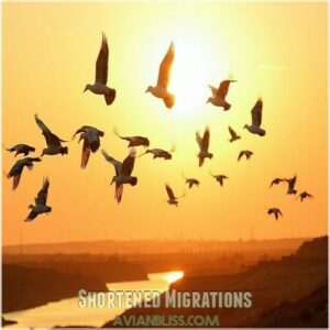 Shortened Migrations