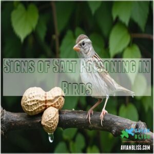 Signs of Salt Poisoning in Birds