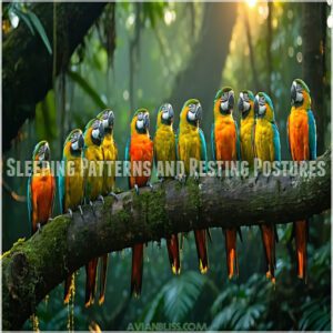 Sleeping Patterns and Resting Postures