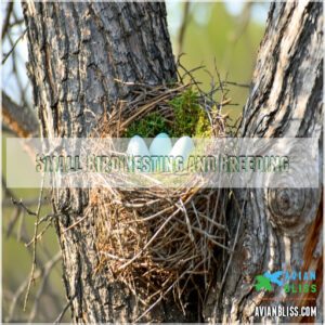 Small Bird Nesting and Breeding