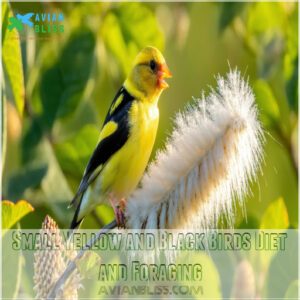 Small Yellow and Black Birds Diet and Foraging