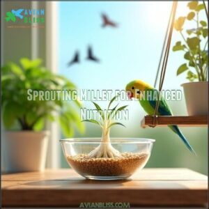 Sprouting Millet for Enhanced Nutrition