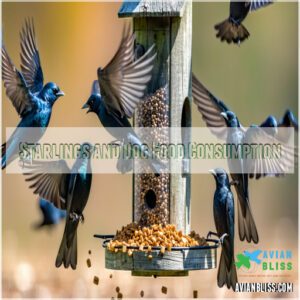 Starlings and Dog Food Consumption