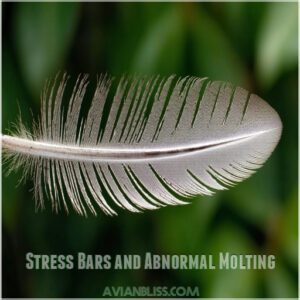 Stress Bars and Abnormal Molting