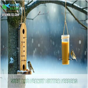 Suet and Peanut Butter Feeders