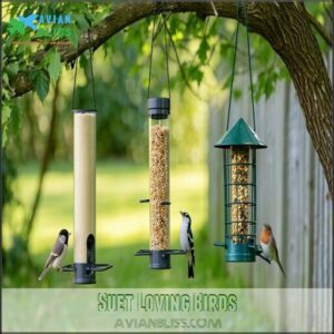 Suet Loving Birds