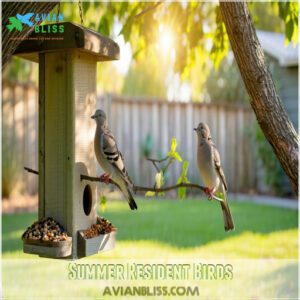 Summer Resident Birds