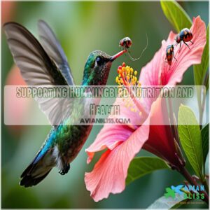 Supporting Hummingbird Nutrition and Health