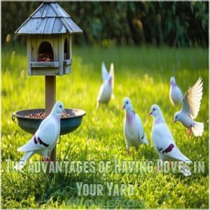 The Advantages of Having Doves in Your Yard