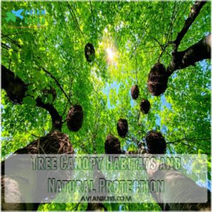 Tree Canopy Habitats and Natural Protection