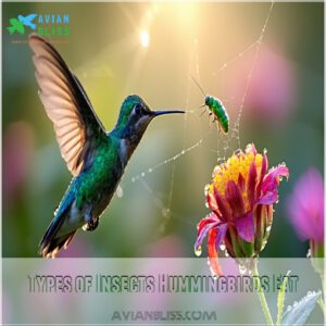 Types of Insects Hummingbirds Eat