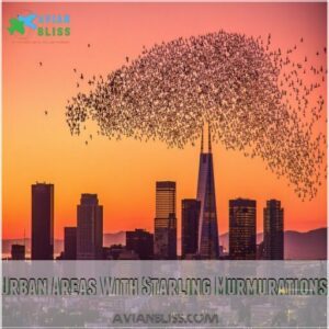 Urban Areas With Starling Murmurations