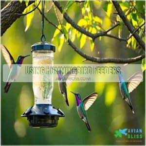 Using Hummingbird Feeders