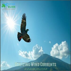 Utilizing Wind Currents