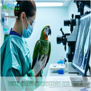 Veterinary Examination and Tests