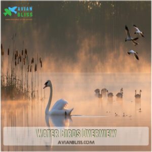 Water Birds Overview