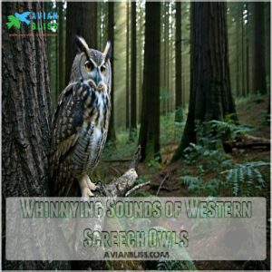 Whinnying Sounds of Western Screech Owls