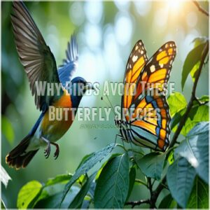 Why Birds Avoid These Butterfly Species