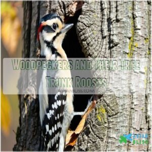 Woodpeckers and Their Tree Trunk Roosts