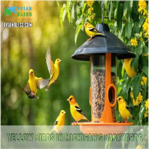 Yellow Birds in Michigan