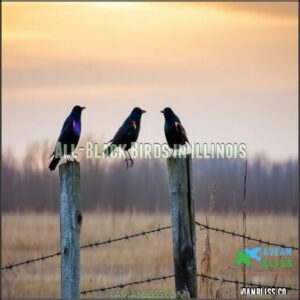 All-Black Birds in Illinois