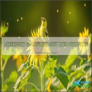 American Goldfinch Diet and Foraging