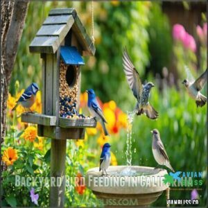 Backyard Bird Feeding in California