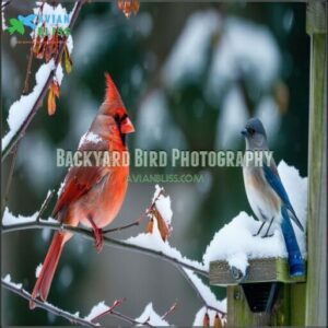 Backyard Bird Photography