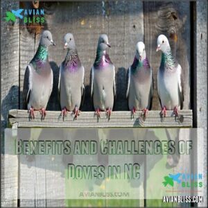 Benefits and Challenges of Doves in NC