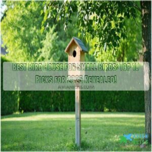 best bird house for small birds