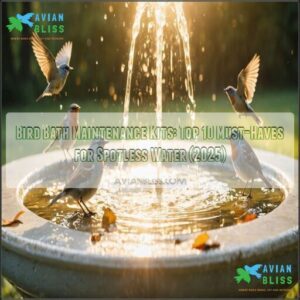 bird bath maintenance kits