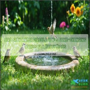 bird bath water circulation