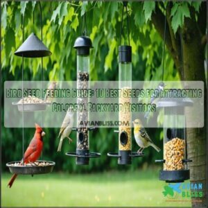 bird seed feeding guide