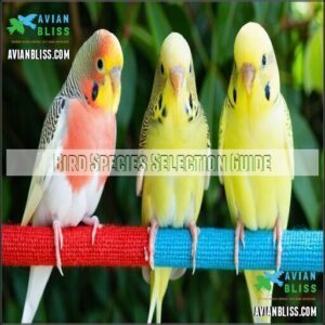 Bird Species Selection Guide