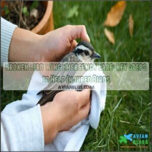 broken bird wing emergency care