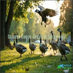 Canada Goose-Specific Solutions