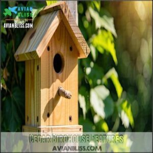 Cedar Birdhouse Features