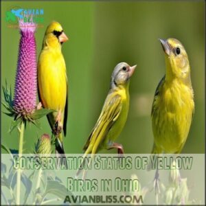 Conservation Status of Yellow Birds in Ohio