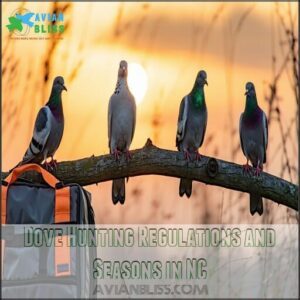 Dove Hunting Regulations and Seasons in NC