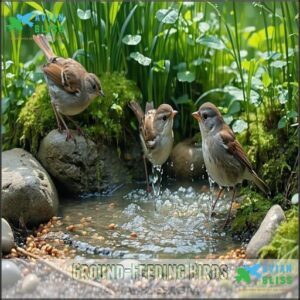 Ground-Feeding Birds