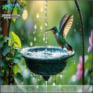 Hanging Bird Bath Benefits