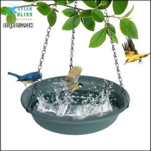 Hanging Bird Bath, Hanging Bird