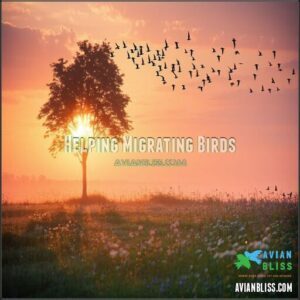 Helping Migrating Birds