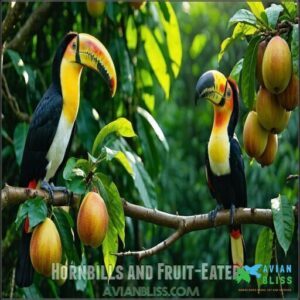 Hornbills and Fruit-Eaters