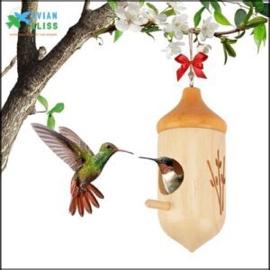 Hummingbird House, Natural Wooden Hummingbird