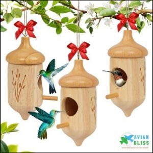 Hummingbird House, Wooden Hummingbird Houses