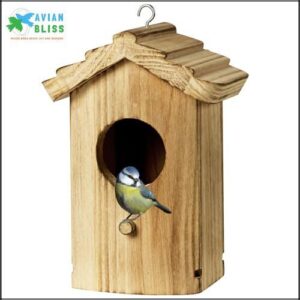 Hummingbird House,Wooden Birdhouse,Hummingbird Nest,Small Bird