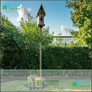 Importance of Birdhouse Placement for Safety