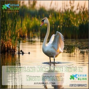 Invasive and Non-Native Birds in North Carolina