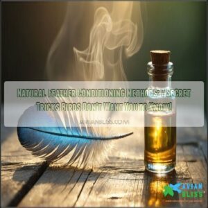 natural feather conditioning methods